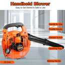 description_selected1
